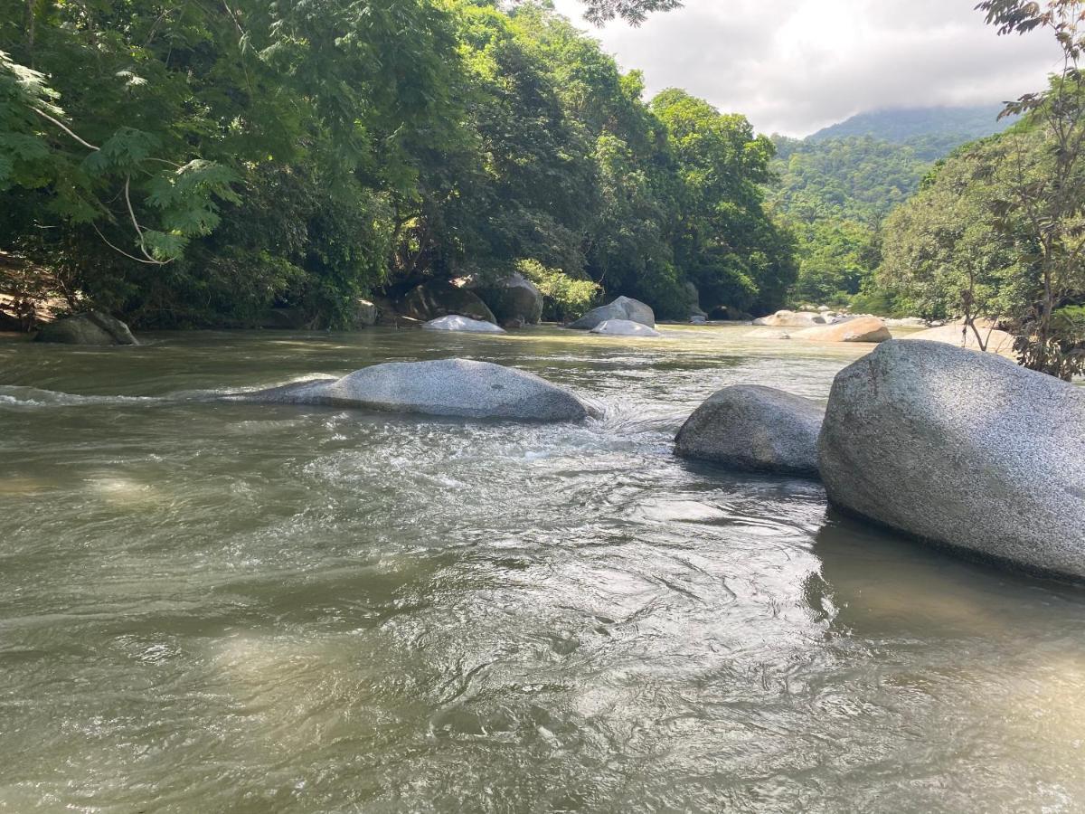 Wayanay Tayrona Eco Hostel El Zaino Bagian luar foto