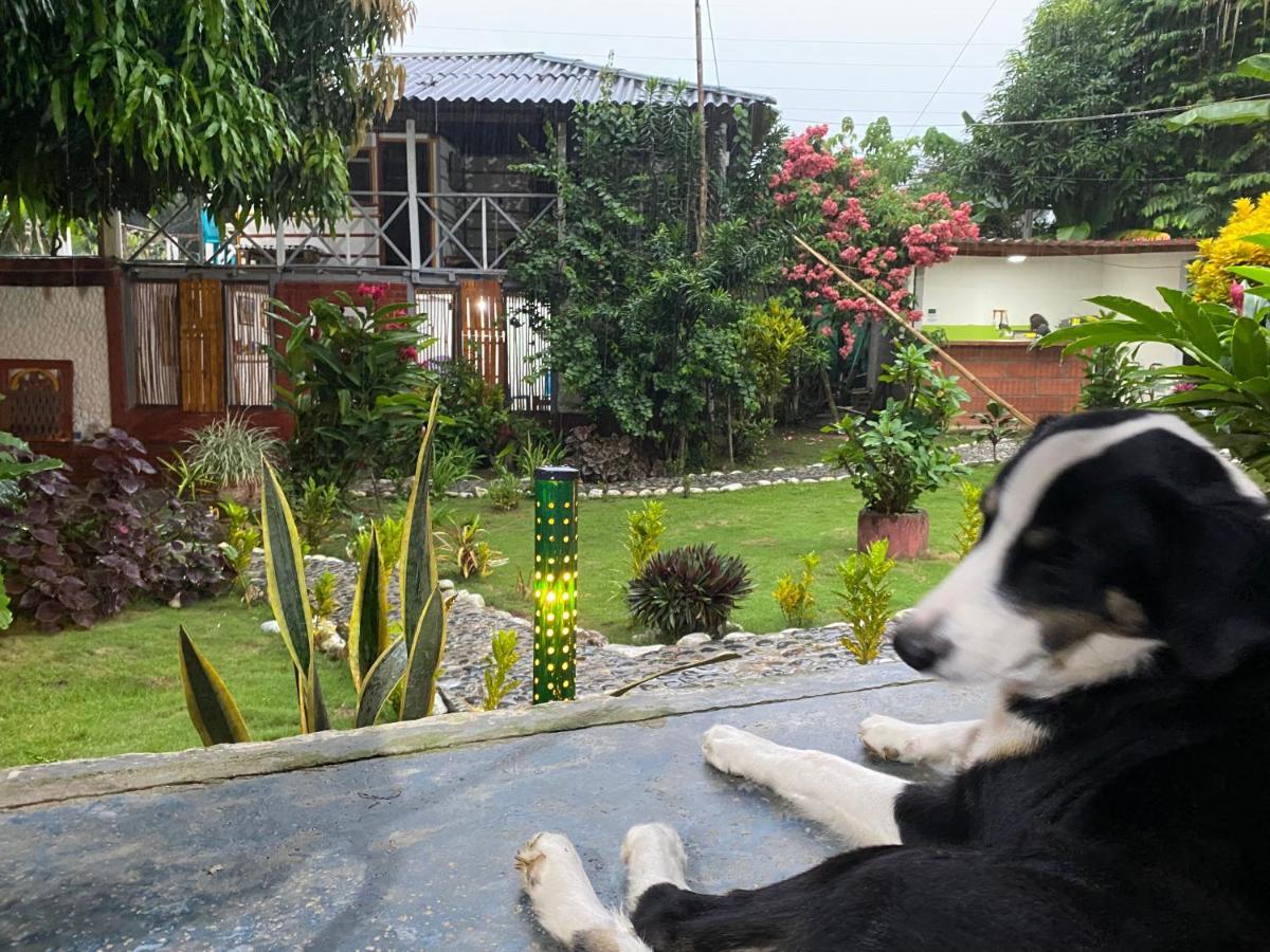 Wayanay Tayrona Eco Hostel El Zaino Bagian luar foto