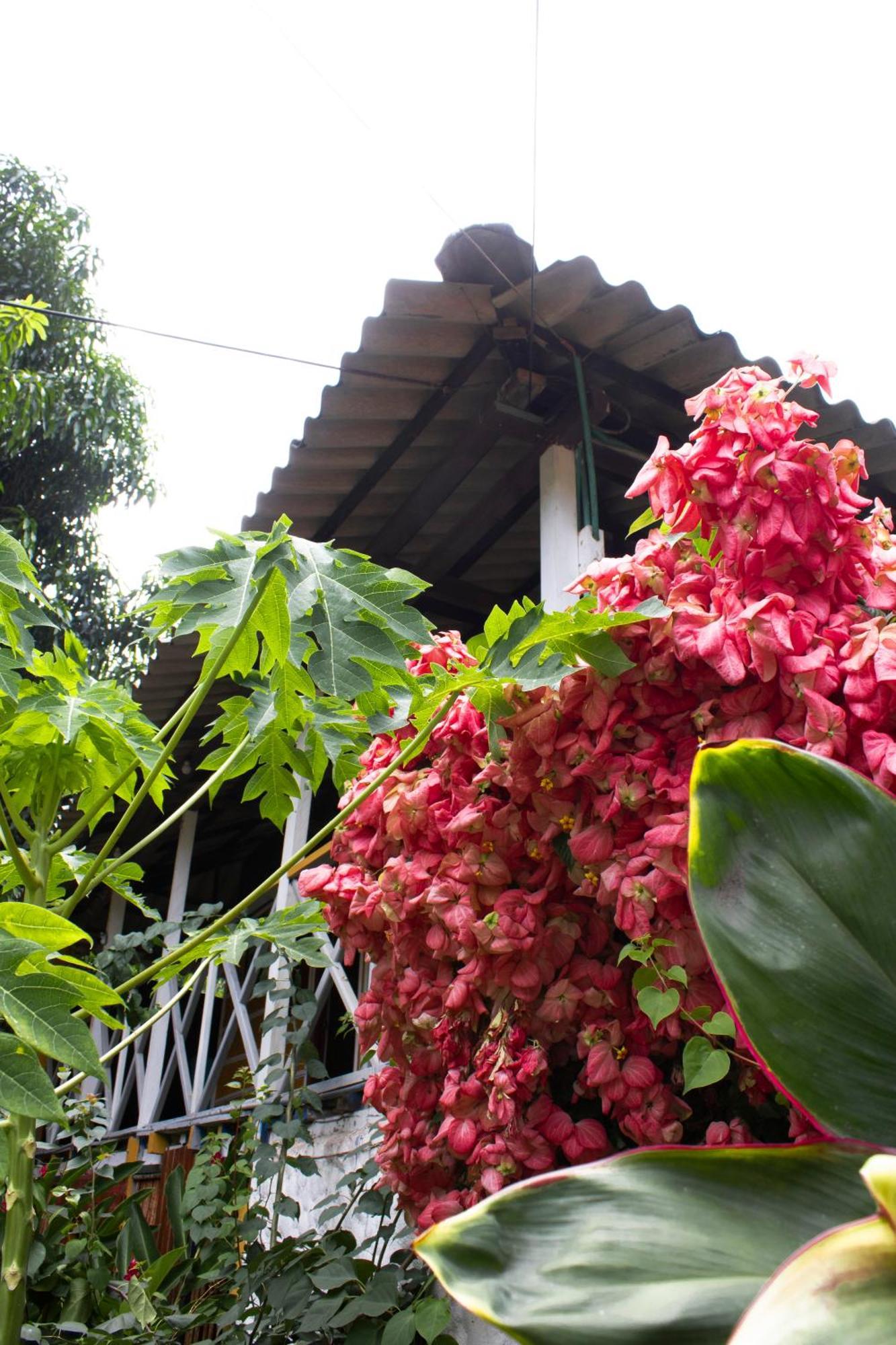 Wayanay Tayrona Eco Hostel El Zaino Bagian luar foto