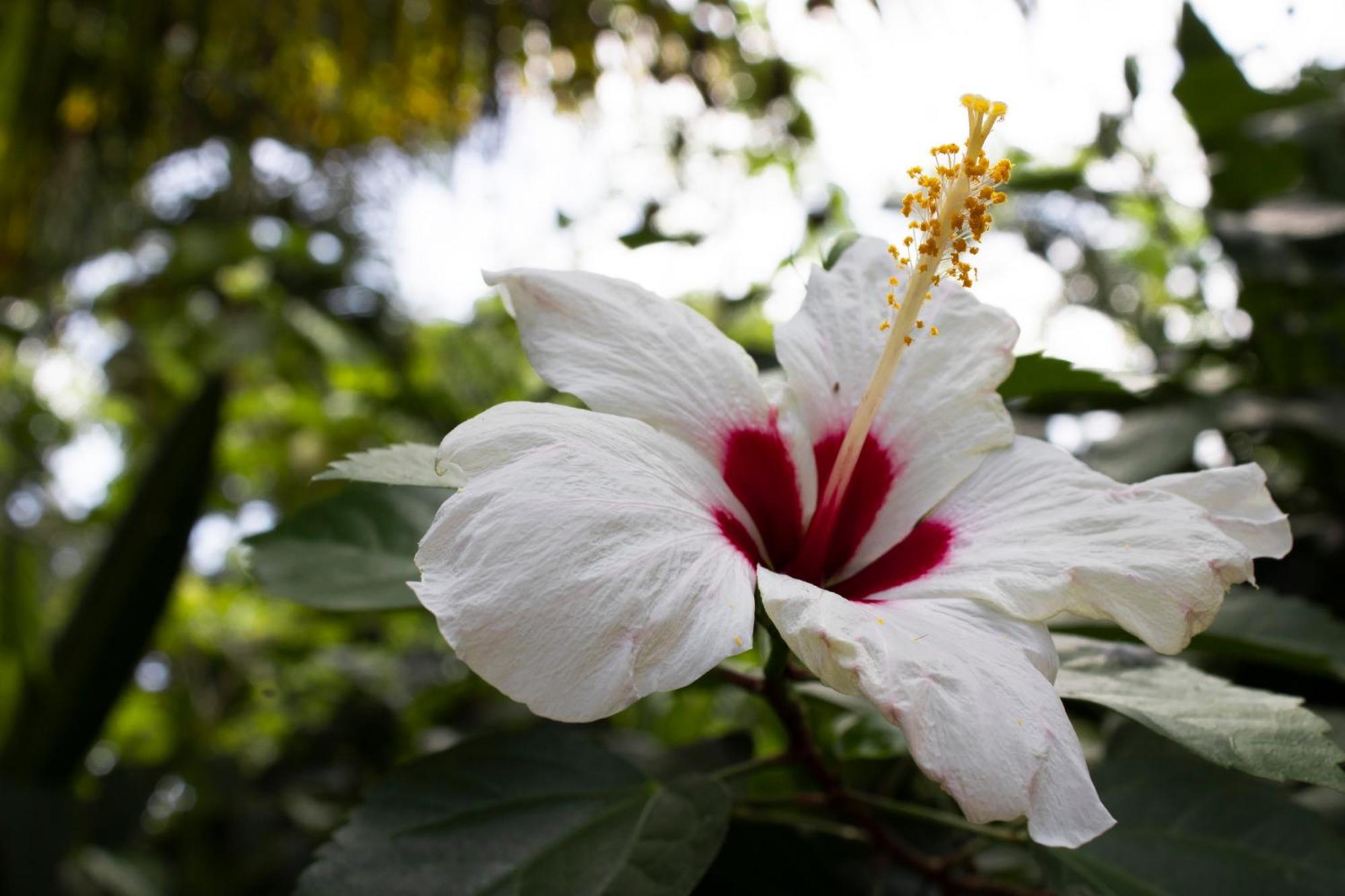 Wayanay Tayrona Eco Hostel El Zaino Bagian luar foto