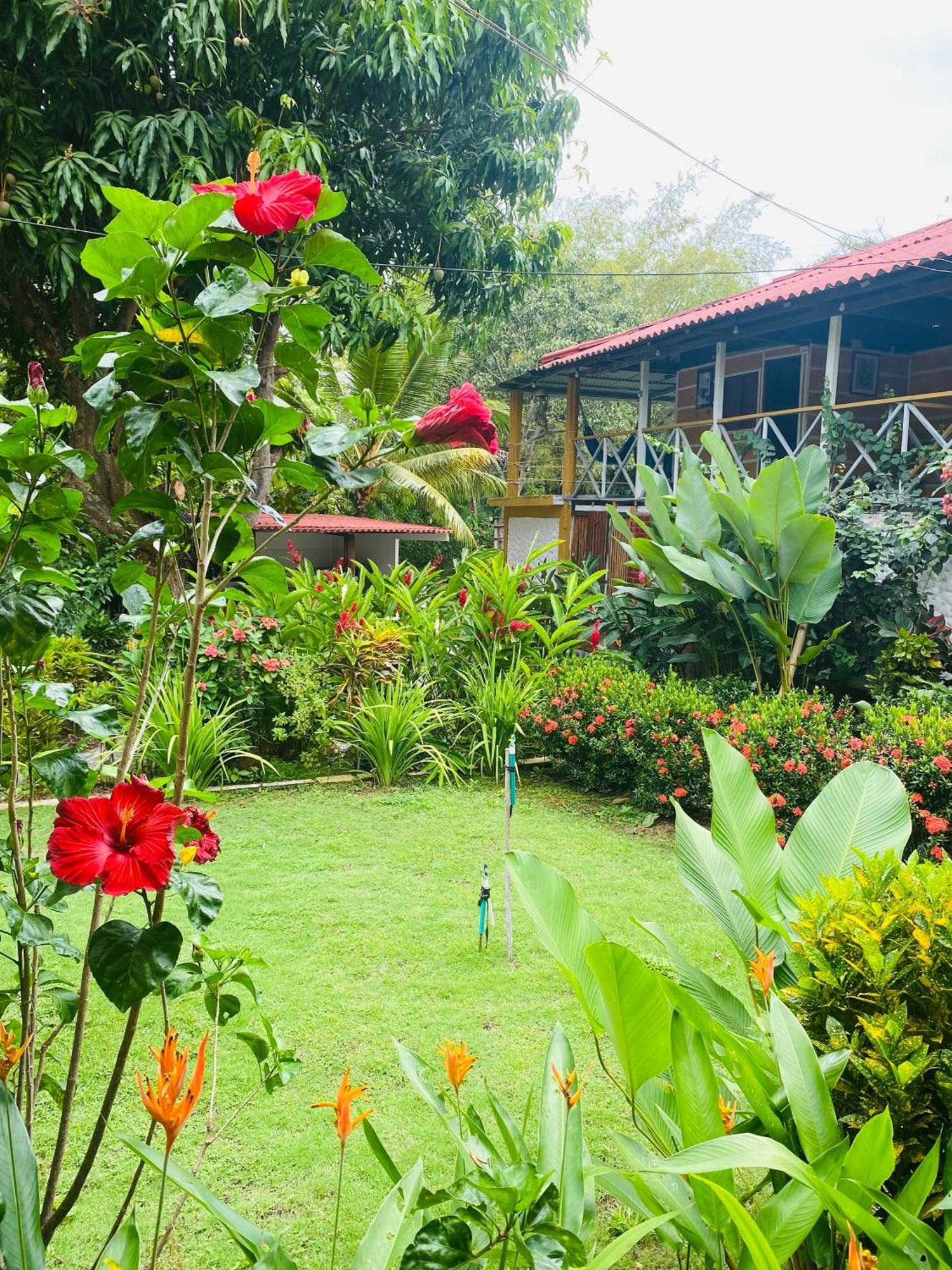Wayanay Tayrona Eco Hostel El Zaino Bagian luar foto