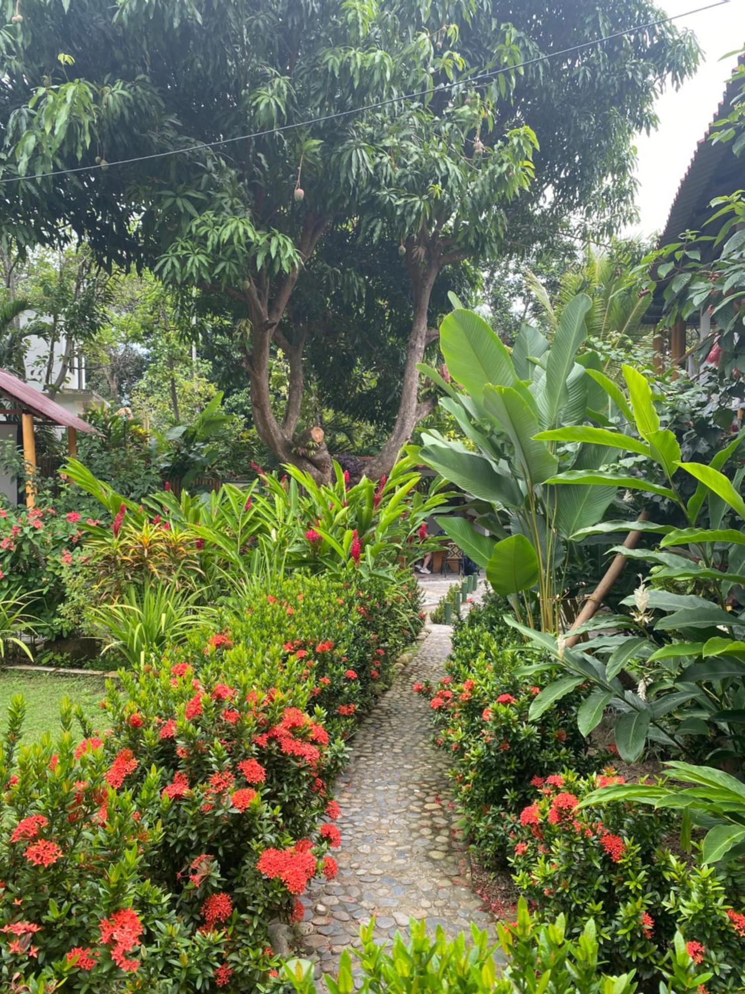 Wayanay Tayrona Eco Hostel El Zaino Bagian luar foto