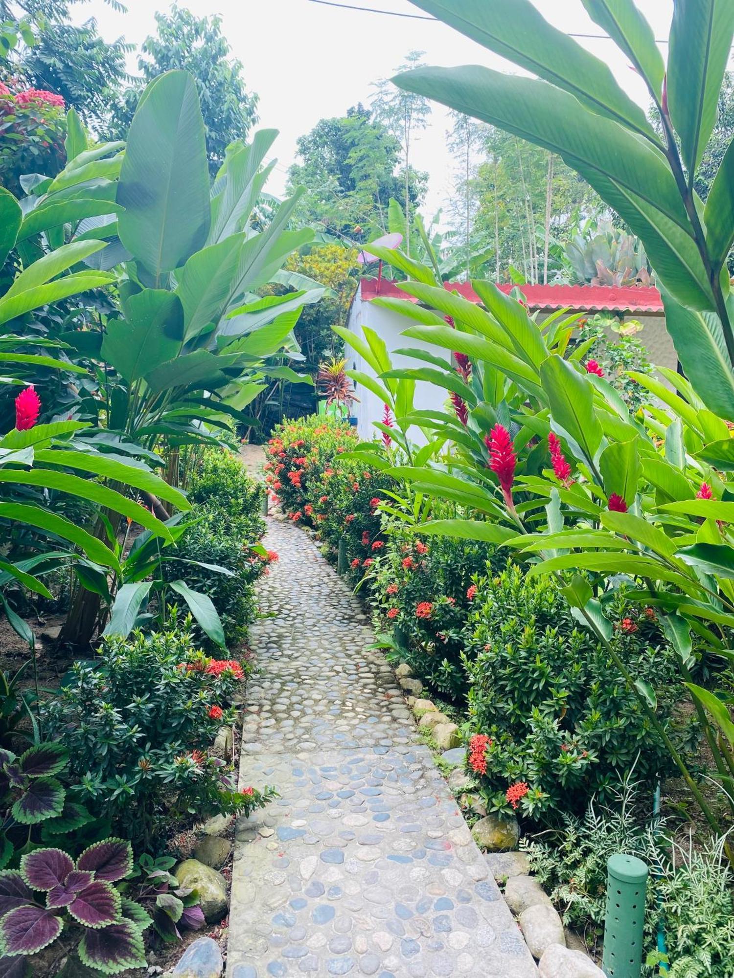 Wayanay Tayrona Eco Hostel El Zaino Bagian luar foto